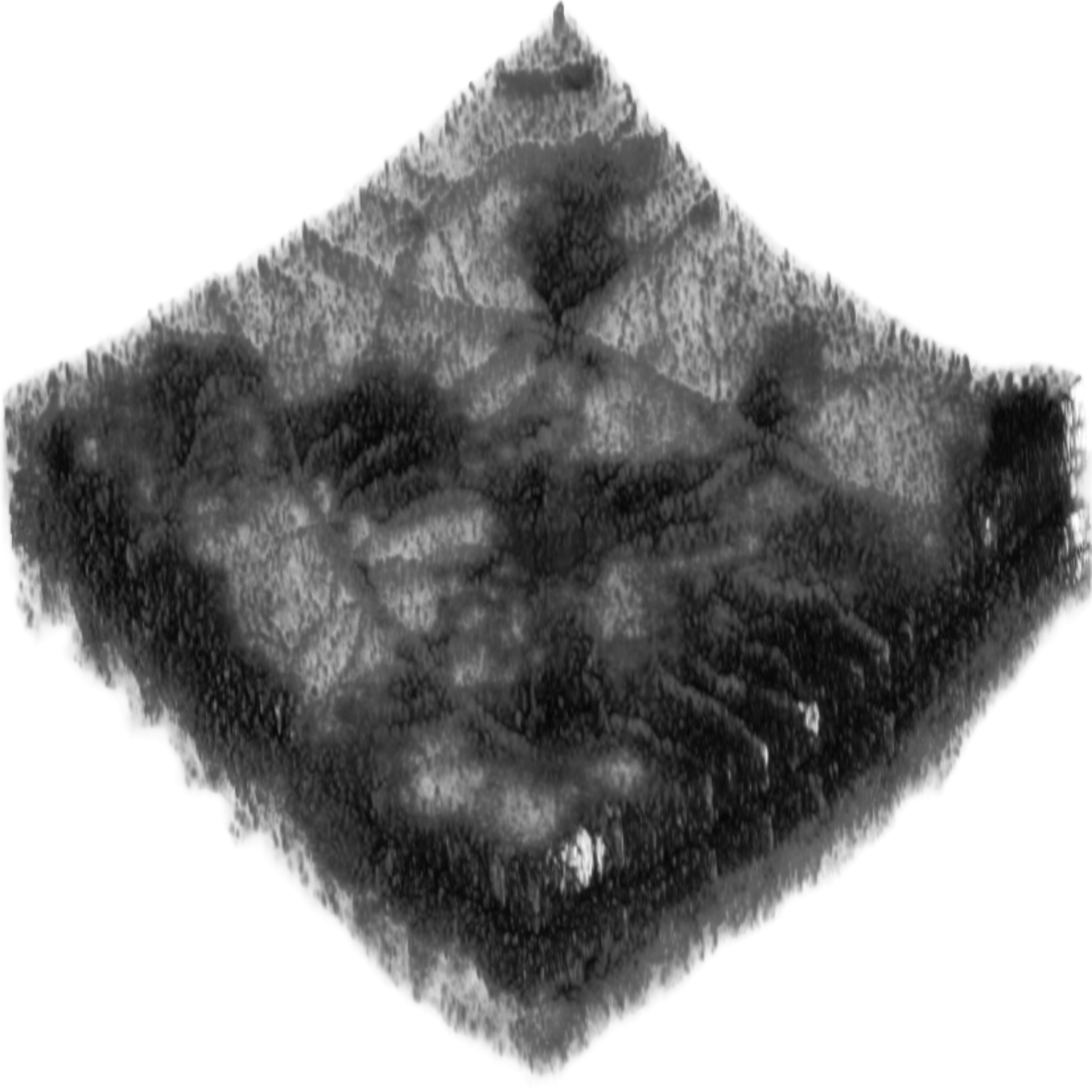 3D OCTA Volume